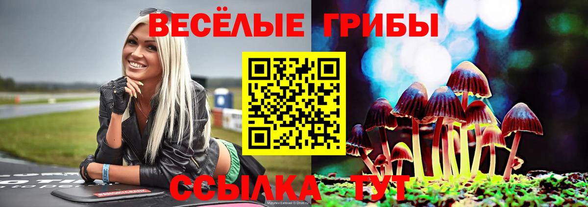 Псилоцибиновые грибы Magic Shrooms Новоалександровск